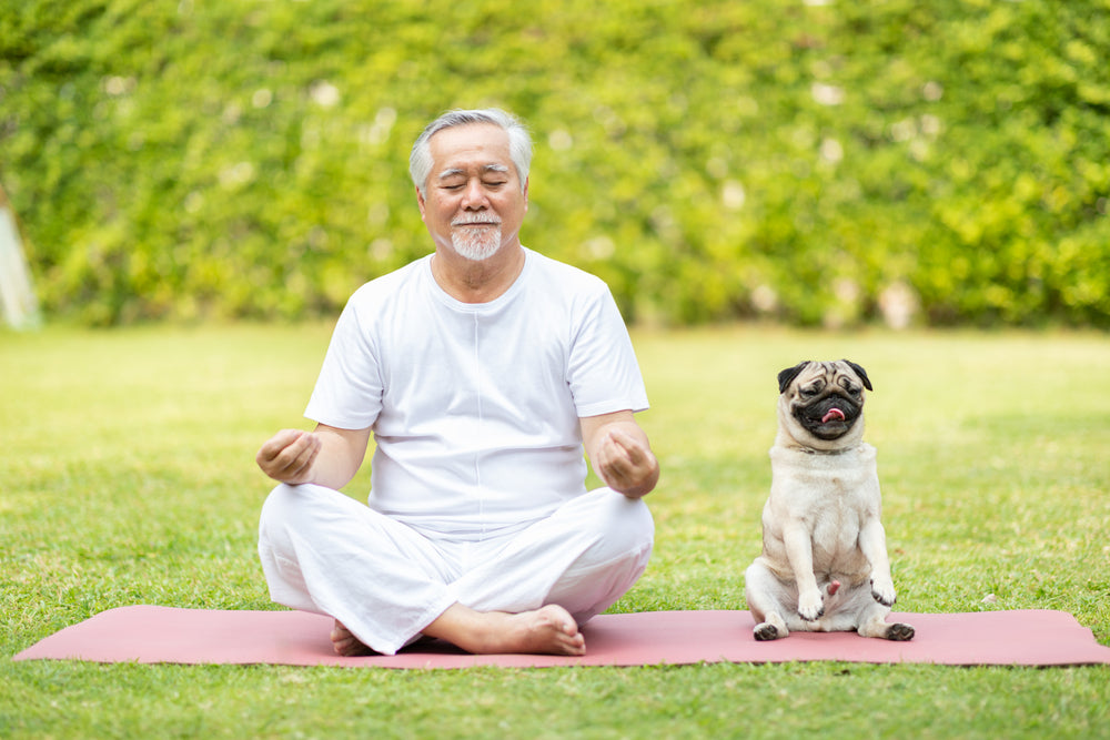 Benefits Of Meditation For Seniors | Best Elderly Mental Health Tips